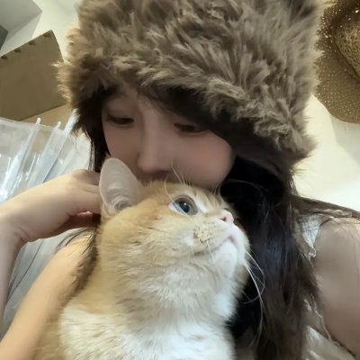 五香宫的猫